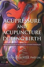 9781848193581 Acupressure and Acupuncture during Birth, Verzenden, Nieuw, Claudia Citkovitz