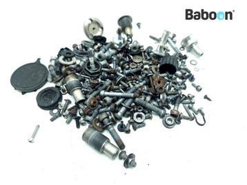 Bouten en Moeren BMW K 1200 R Sport (K1200R), Motoren, Onderdelen | BMW, Verzenden, Gebruikt
