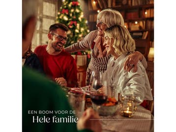 tectake® Kunstkerstboom Dasher - Kunstkerstboom 230 cm -, Diversen, Kerst, Verzenden, Nieuw