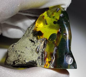 Mexicaanse amberfossiel Chiapas!! AAA- 40 g