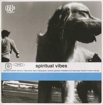 cd - Spiritual Vibes - Spiritual Vibes, Verzenden, Zo goed als nieuw