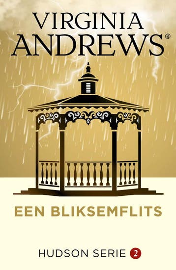 Een Bliksemflits | Virginia Andrews | Nieuw, Boeken, Ophalen of Verzenden, Nieuw, Virginia Andrews