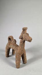 Zeldzame hond - Djenne - Mali-Niger