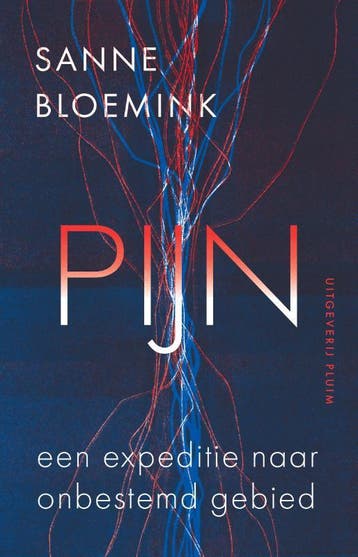 Pijn - Sanne Bloemink 9789493304703, Verzenden, Zo goed als nieuw, Sanne Bloemink