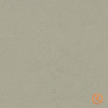 Kurk Klikvloer Linoleum - Concrete Orbit - per m2, Ophalen of Verzenden, Nieuw