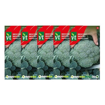 Broccolizaad | VT | 5 stuks, Verzenden