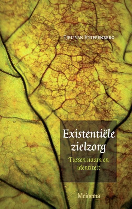 EXISTENTIELE ZORG 9789021140629 Tj. van Knippenberg, Boeken, Godsdienst en Theologie, Zo goed als nieuw, Verzenden