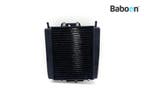 Radiateur Piaggio | Vespa MP3 500 LT Sport 2015-2017 (VIN:, Motoren, Verzenden, Gebruikt