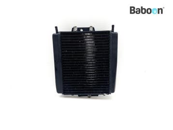 Radiateur Piaggio | Vespa MP3 500 LT Sport 2015-2017 (VIN:, Verzenden, Gebruikt