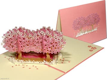 Dubbele roze Sakura kersenbloesem - Kersenboom pop-up kaart, Diversen, Verzenden, Nieuw