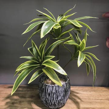 Kunstplant 36cm met 3 Bamboe-achtige Takken - Tropische Deco, Verzenden, Nieuw