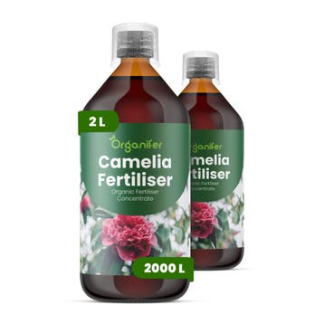 Camellia Vloeibare Meststof - 2x1 liter, Verzenden, Mest