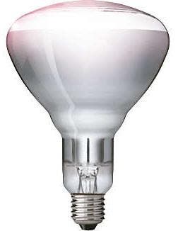 Philips Infraroodlamp E27 250W Helder warmtelamp Ø12.5cm..., Huis en Inrichting, Lampen | Plafondlampen, Ophalen of Verzenden