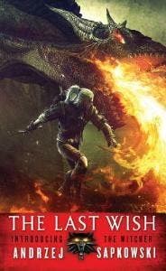 The Last Wish / The Witcher - Andrzej Sapkowski, Verzenden, Gelezen, Andrzej Sapkowski