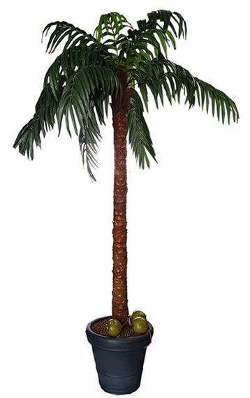 Huur: Kunstpalm +- 3,50 m hoog, Ophalen of Verzenden