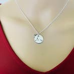 925 Zilveren Vissen Pisces sterrenbeeld zodiak ketting, Verzenden, Nieuw, Zilver