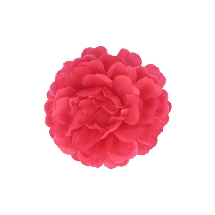 Haarspeld Duckklem 5cm – Haarbloem – Fuchsia Roze, Sieraden, Tassen en Uiterlijk, Uiterlijk | Haarverzorging