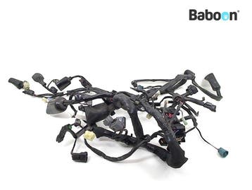 Kabelboom Kawasaki KLE 650 Versys 2015-2016 (KLE650, Motoren, Verzenden, Gebruikt