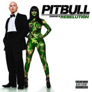 cd - Pitbull - Rebelution, Verzenden, Zo goed als nieuw