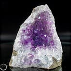 Natürliche Amethyst-Druse met intens violet, Verzamelen, Mineralen en Fossielen