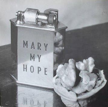 LP gebruikt - Mary My Hope - Museum, Verzenden, Zo goed als nieuw, Overige formaten