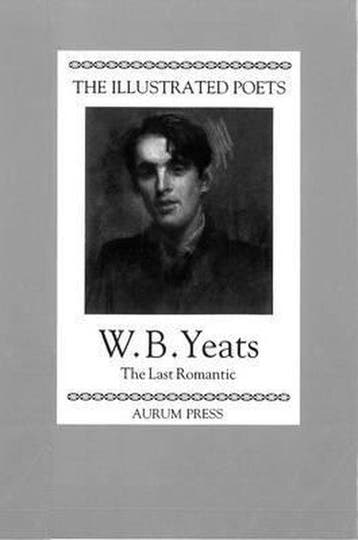 The Illustrated Poets - W.B. Yeats 9781854101075, Verzenden, Zo goed als nieuw, W.B. Yeats