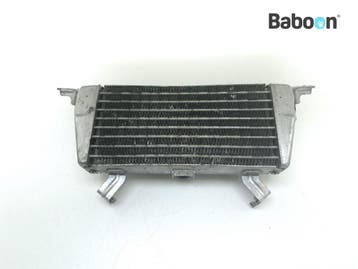 Oliekoeler BMW S 1000 RR 2019-2020 (S1000RR 19 K67), Verzenden, Gebruikt