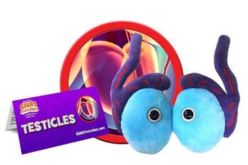 Giant Microbes Orgaan - Wetenschap biologie pluche testi..., Nieuw