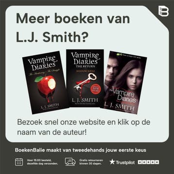 Razernij en duister weerzien / The Vampire Diaries, Boeken, Verzenden, Gelezen, L.J. Smith