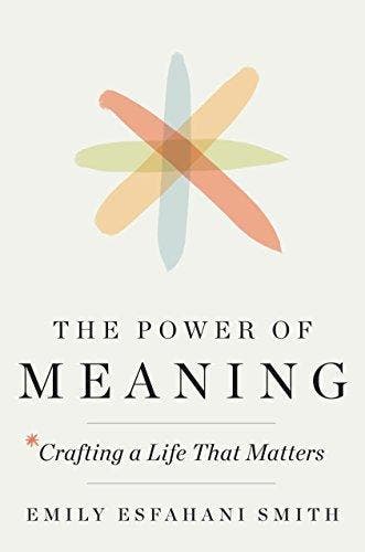 The Power of Meaning - Emily Esfahani Smith 9780553419993, Verzenden, Zo goed als nieuw, Emily Esfahani Smith