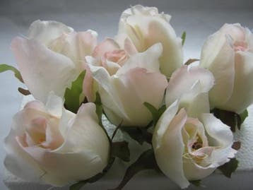 Zijden Roosjes Champagne Roze 2Tone 5-6 cm 10 stuks, Ophalen of Verzenden, Nieuw