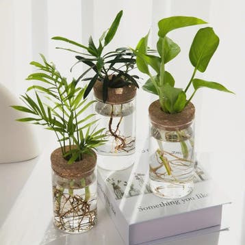 Glazen Hydroponics Vaas - Plantenstekken Station & Decoratie, Verzenden, Nieuw in verpakking