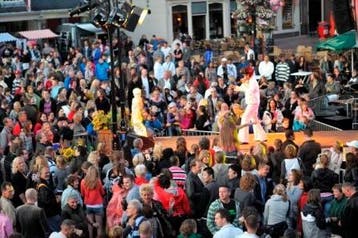 Zanger Maurice troubadour live muziek bruiloft privé feest., Solo-artiest