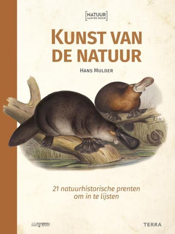 Natuur Aan De Muur - Kunst Van De Natuur | Nieuw, Ophalen of Verzenden, Nieuw, Hans Mulder