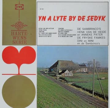 LP gebruikt - Henk van der Heide - Yn A Lyte By De Sedyk, Verzenden, Zo goed als nieuw, Overige formaten