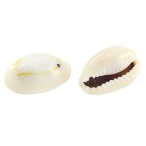 4 x Schelp kralen Kauri Ivory grey ca. 17x10mm, Ophalen of Verzenden, Nieuw, Kraal