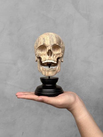 Snijwerk, NO RESERVE PRICE -Stunning Wooden Human Skull With
