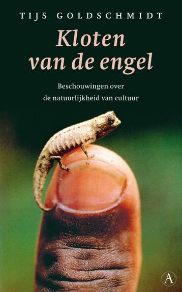 Kloten van de engel - T. Goldschmidt 9789025366926, Verzenden, Zo goed als nieuw, T. Goldschmidt