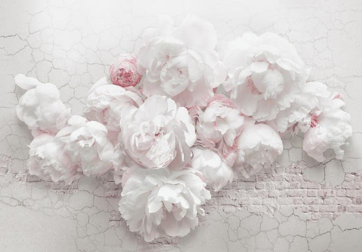 Witte pioenrozen behang, Bloemen vlies behang, Muurdeco4kids, Huis en Inrichting, Stoffering | Behang, Verzenden