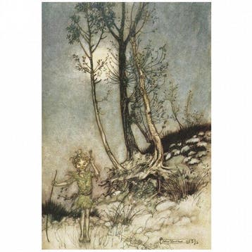 William Shakespeare / Arthur Rackham (ill) - Tales from