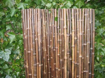 Bamboerolschermen , Bamboe , Bamboematten , Bamboerollen ,, Ophalen of Verzenden, Nieuw