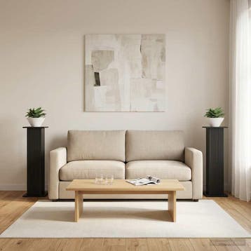 vidaXL Plantenstandaard 2 st Zwart 30,5 x 30 x 100,5 cm, Verzenden, Nieuw