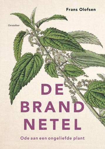 9789060389713 De brandnetel | Tweedehands, Verzenden, Zo goed als nieuw, Frans Olofsen