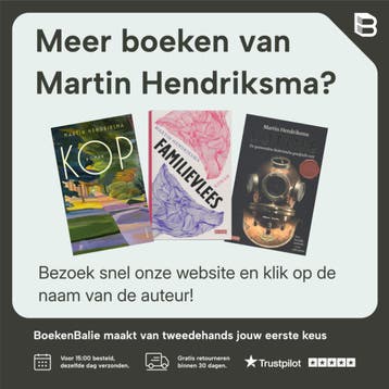 De Rijn - Martin Hendriksma 9789044541731, Verzenden, Zo goed als nieuw, Martin Hendriksma