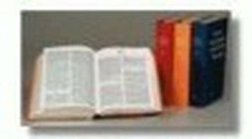 Nieuwe Encyclopedie van de Vlaamse Beweging 9789020930429, Boeken, Encyclopedieën, Verzenden, Gelezen