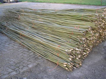Verse wilgentenen bleeslatten  wilgenschutting wilgentakken, Nieuw, Hout, 6 meter of meer, 2 meter of meer