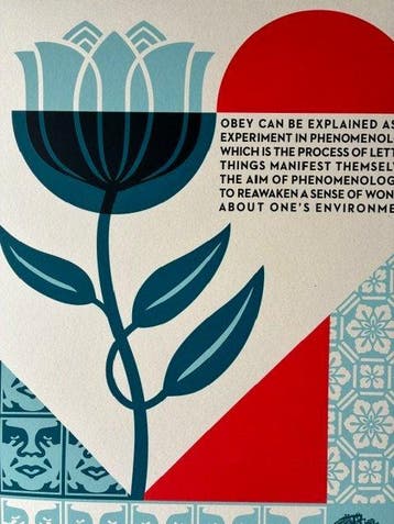 Shepard Fairey (OBEY) (1970) - Experiment