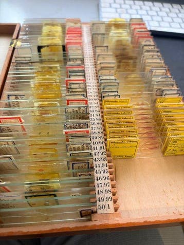 Microscope slide - plants and animals - 1940-1950