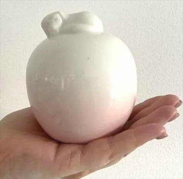 Urn ter herinnering aan uw overleden hondje