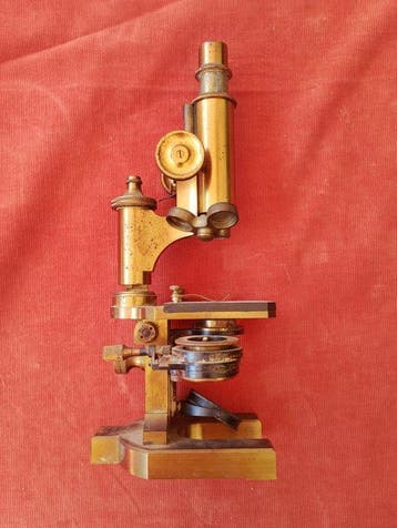 Monocular compound microscope - 1900-2000 - Italië -